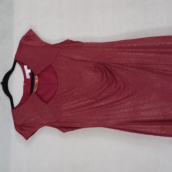 Triuhuology Women's Dress Size 10 Shimmery Red Dress With Ruching NWOT.   - Picture 2 of 11
